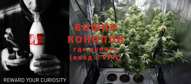 Бошки Шишки OG Kush  ссылка на мегу ONION  Нижняя Тура  сколько стоит 